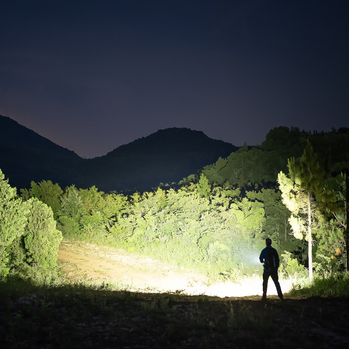 Weltool F5  Little King LED flashlight