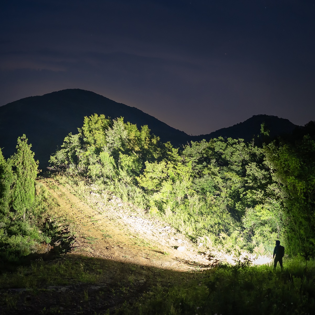 Weltool F5  Little King LED flashlight