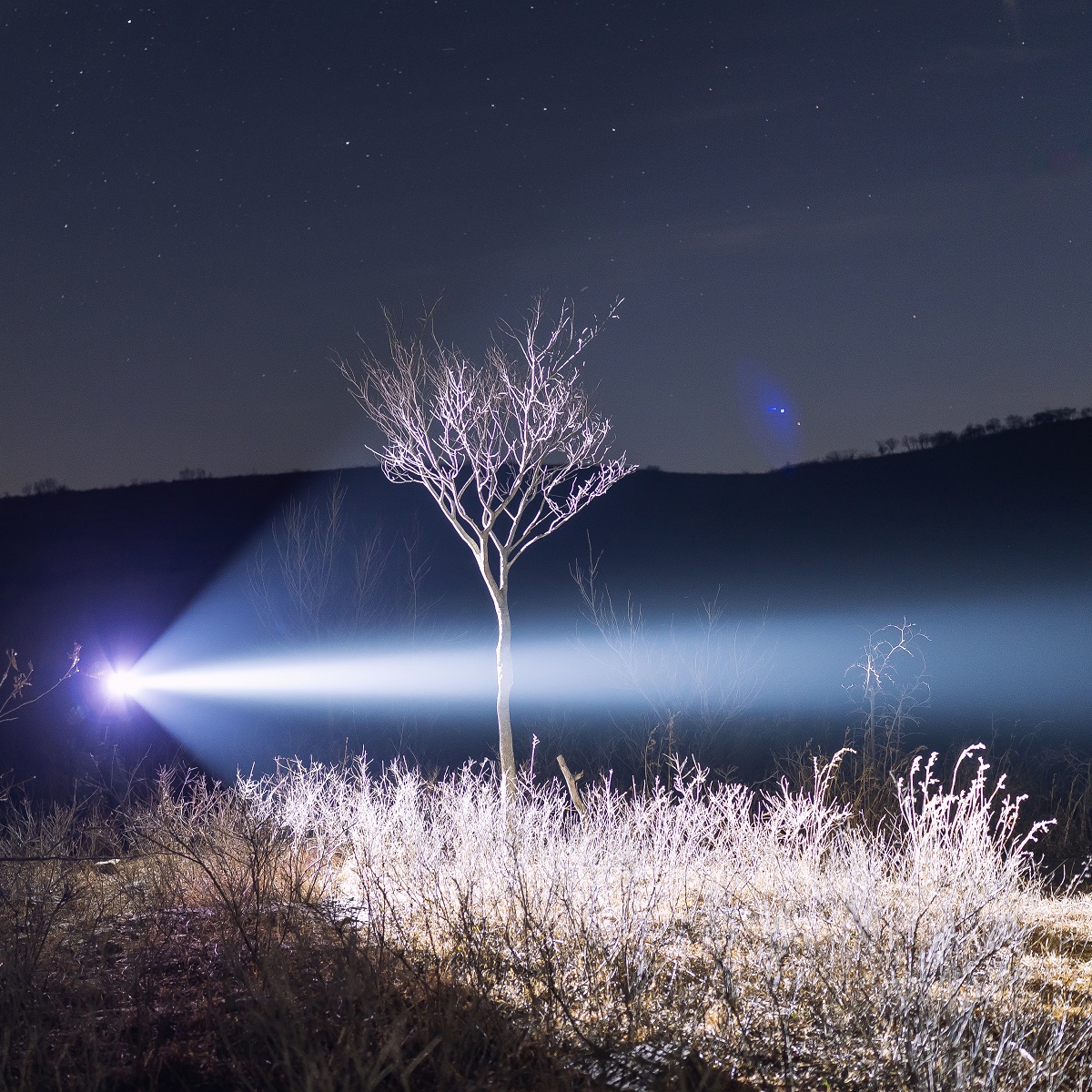 Weltool T16B V2 18350 Compact LED Tactical Flashlight